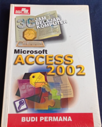Image of Microsoft Access 2002